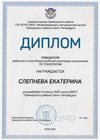 2018-2019 Слепнева Екатерина 9м (РО-технология)